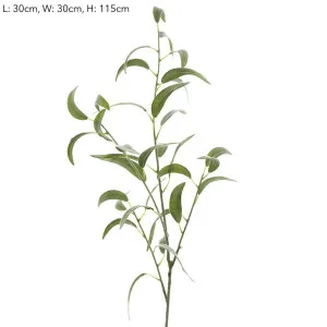 Eucalyptus leaf Spray Thin Leaves 1.15m by Florabelle Living, a Plants for sale on Style Sourcebook
