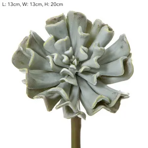 Succulent 20cm Grey by Florabelle Living, a Plants for sale on Style Sourcebook