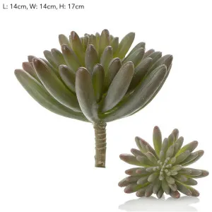 Succulent Spray Burgundy by Florabelle Living, a Plants for sale on Style Sourcebook