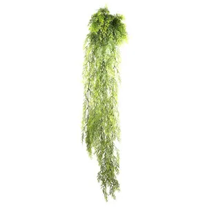 Rosemary Bush Hanging 1m by Florabelle Living, a Plants for sale on Style Sourcebook