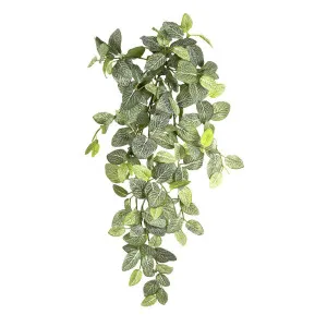 Peperoni Hanging Bush Real Touch 64cm by Florabelle Living, a Plants for sale on Style Sourcebook