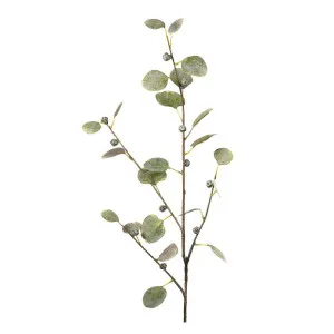 Eucalyptus leaf Spray 90cm by Florabelle Living, a Plants for sale on Style Sourcebook