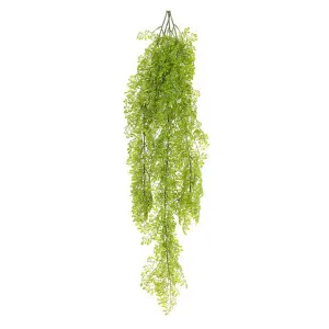 Fern Hanging 80cm by Florabelle Living, a Plants for sale on Style Sourcebook