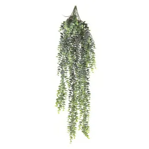 Fern Staghorn Hanging Grey and Green 80cm by Florabelle Living, a Plants for sale on Style Sourcebook