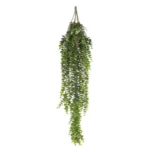 Staghorn Hanging 80cm by Florabelle Living, a Plants for sale on Style Sourcebook