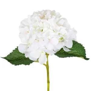 Hydrangea Stem 62cm White by Florabelle Living, a Plants for sale on Style Sourcebook