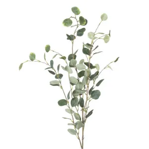 Eucalyptus leaf Spray Extra Long 1.21m by Florabelle Living, a Plants for sale on Style Sourcebook