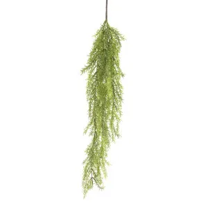 Vine Jewel Hanging 80cm by Florabelle Living, a Plants for sale on Style Sourcebook