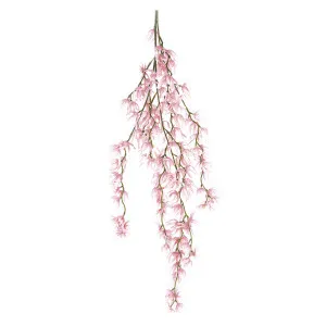 Orchid Spider Hanging 1.1m Pink by Florabelle Living, a Plants for sale on Style Sourcebook