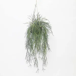 Sea Grass Vine Hanging 1m by Florabelle Living, a Plants for sale on Style Sourcebook