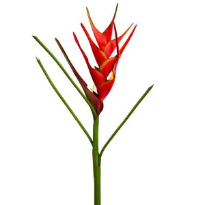 Heliconia 82cm Red by Florabelle Living, a Plants for sale on Style Sourcebook