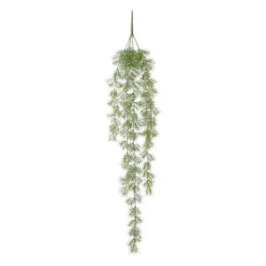 Grass Hanging 1.1m by Florabelle Living, a Plants for sale on Style Sourcebook