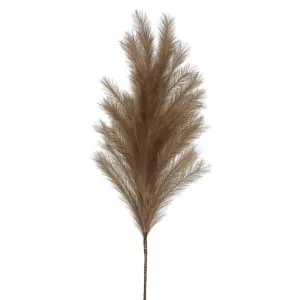 Wheat Grass 1.1m Brown by Florabelle Living, a Plants for sale on Style Sourcebook