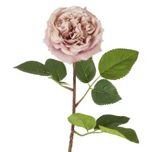 Dried Look English Rose Stem 50cm Pink by Florabelle Living, a Plants for sale on Style Sourcebook