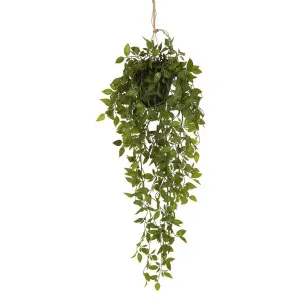 Hanging Leaves with Black Pot by Florabelle Living, a Plants for sale on Style Sourcebook