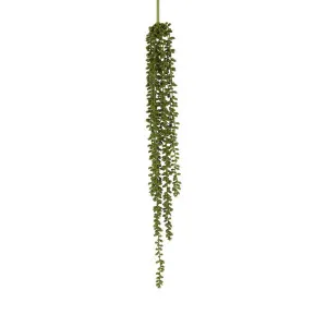 String of Pearls Hanging Stem by Florabelle Living, a Plants for sale on Style Sourcebook