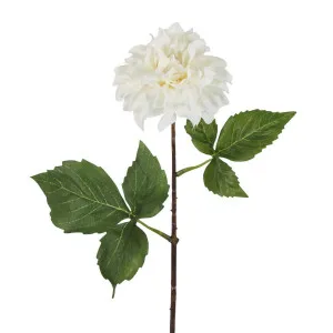 Dried Look Dahlia Stem Cream Small 43cm by Florabelle Living, a Plants for sale on Style Sourcebook