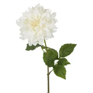 Dried Look Dahlia Stem Large 61cm Cream by Florabelle Living, a Plants for sale on Style Sourcebook