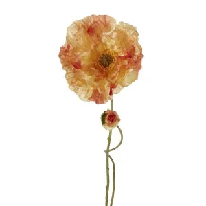 Poppy Stem 75cm Orange by Florabelle Living, a Plants for sale on Style Sourcebook