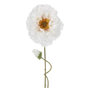Poppy Stem 75cm White by Florabelle Living, a Plants for sale on Style Sourcebook