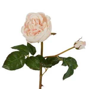 Cabbage Real Touch Rose Stem 49cm Blush by Florabelle Living, a Plants for sale on Style Sourcebook