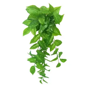 Zebra Hanging Bush 95cm by Florabelle Living, a Plants for sale on Style Sourcebook