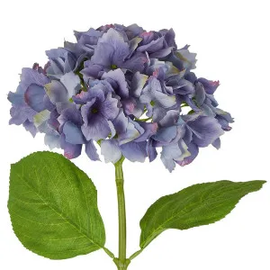Hydrangea Stem Soft Touch 50cm Blue by Florabelle Living, a Plants for sale on Style Sourcebook