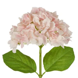 Hydrangea Stem Soft Touch 50cm Pink by Florabelle Living, a Plants for sale on Style Sourcebook