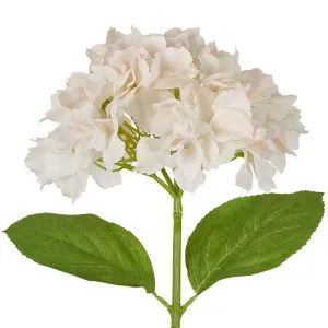 Hydrangea Stem Soft Touch 50cm White Pink by Florabelle Living, a Plants for sale on Style Sourcebook