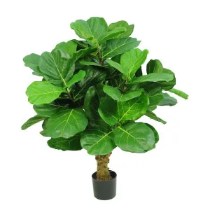 Fiddle Leaf Tree w/70 Leaves 1.2m by Florabelle Living, a Plants for sale on Style Sourcebook