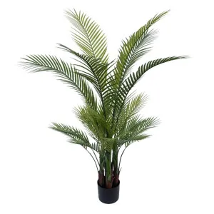 Palm Tree In Black Pot 130cm by Florabelle Living, a Plants for sale on Style Sourcebook