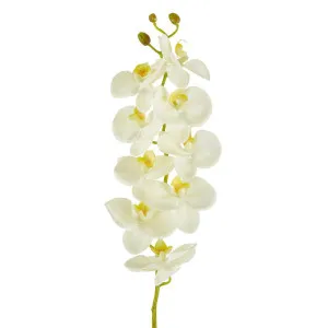 Large Moth Orchid Natural Touch Stem White by Florabelle Living, a Plants for sale on Style Sourcebook