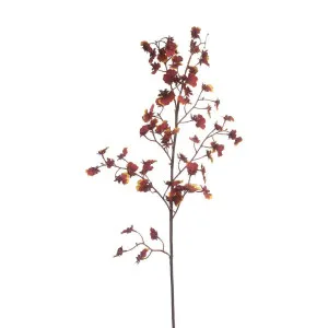 Dancing Orchid 93cm Burgundy by Florabelle Living, a Plants for sale on Style Sourcebook