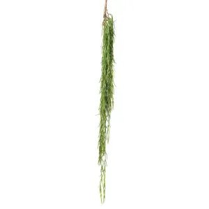Herb Hanging Bush 90cm by Florabelle Living, a Plants for sale on Style Sourcebook
