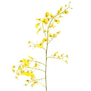 Dancing Orchid 93cm Yellow by Florabelle Living, a Plants for sale on Style Sourcebook