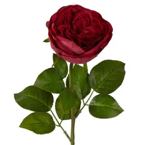 Real Touch Cabbage Rose 67cm Red by Florabelle Living, a Plants for sale on Style Sourcebook