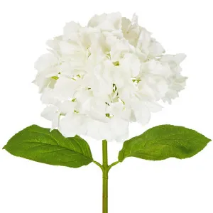 Hydrangea Stem Soft Touch 50cm White by Florabelle Living, a Plants for sale on Style Sourcebook