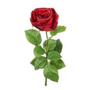 Cabbage Rose Real Touch 65cm Red by Florabelle Living, a Plants for sale on Style Sourcebook