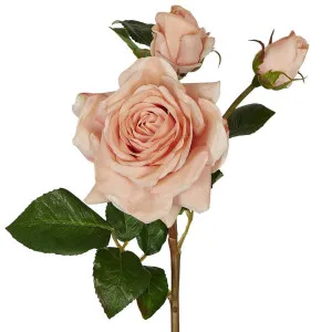 Olivia Bud Real Touch Rose Stem 53cm Blush by Florabelle Living, a Plants for sale on Style Sourcebook