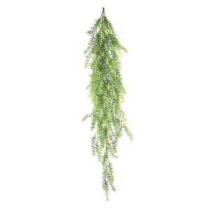 Asparagus Hanging Bush 1.05m by Florabelle Living, a Plants for sale on Style Sourcebook