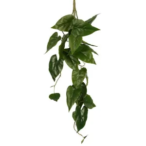 Hanging Anthurium Vine Real Touch 5 Branches by Florabelle Living, a Plants for sale on Style Sourcebook