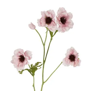 Anenome Stem 90cm Pink by Florabelle Living, a Plants for sale on Style Sourcebook