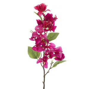 Bougainvillea Spray 75cm Fuchsia by Florabelle Living, a Plants for sale on Style Sourcebook
