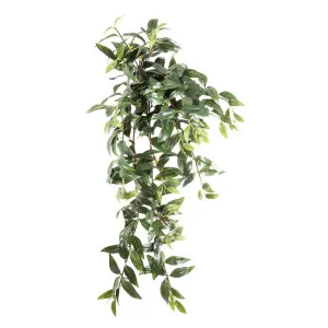 Japanese Bamboo Hanging Bush 78cm by Florabelle Living, a Plants for sale on Style Sourcebook