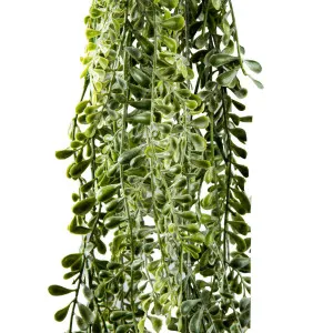 Wild Hanging Vetch Bush 1.6m by Florabelle Living, a Plants for sale on Style Sourcebook