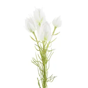 Blushing Bride 54cm Cream by Florabelle Living, a Plants for sale on Style Sourcebook