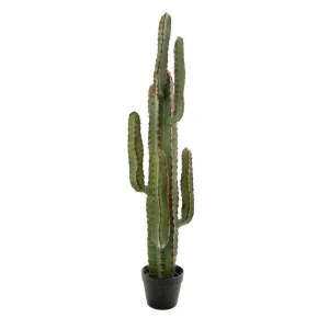 Desert Cactus XL 1.15m by Florabelle Living, a Plants for sale on Style Sourcebook