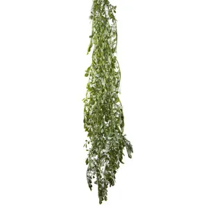Hanging Citrus Bush 1.6m by Florabelle Living, a Plants for sale on Style Sourcebook