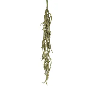 Cactus Hanging Spray 96cm by Florabelle Living, a Plants for sale on Style Sourcebook