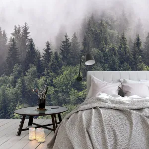 Misty Forest Wallpaper by Florabelle Living, a Artwork & Wall Decor for sale on Style Sourcebook
